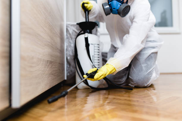 Best Exterminator Services  in Hamilton, MO