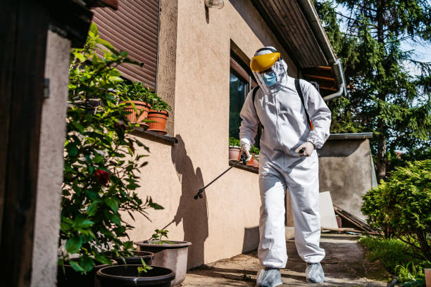 Best Insect Control  in Hamilton, MO