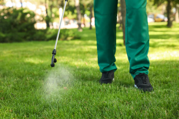 Best Residential Pest Control  in Hamilton, MO