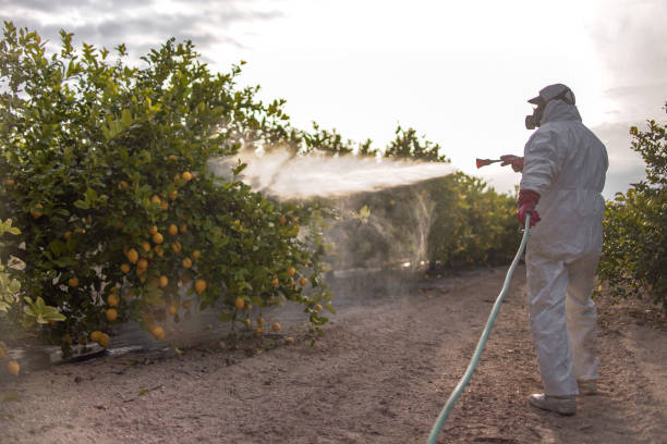 Best Affordable Pest Control Services  in Hamilton, MO