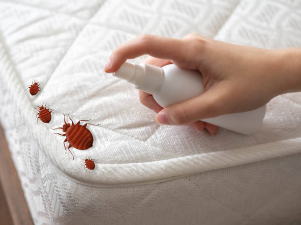  Hamilton, MO Pest Control Pros