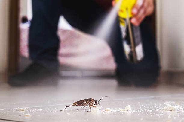 Best Best Pest Control Companies  in Hamilton, MO