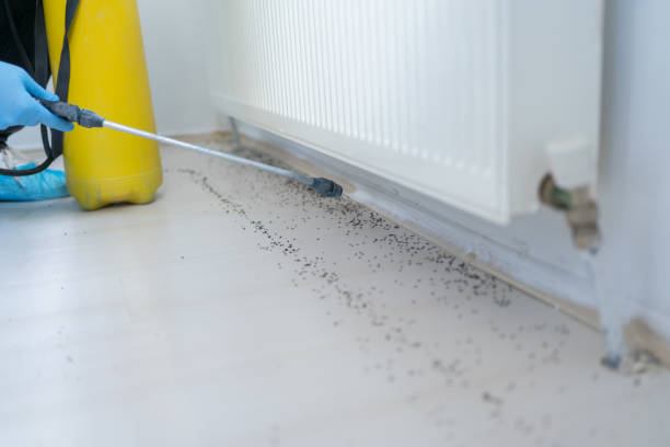 Trusted Hamilton, MO Pest Control Experts