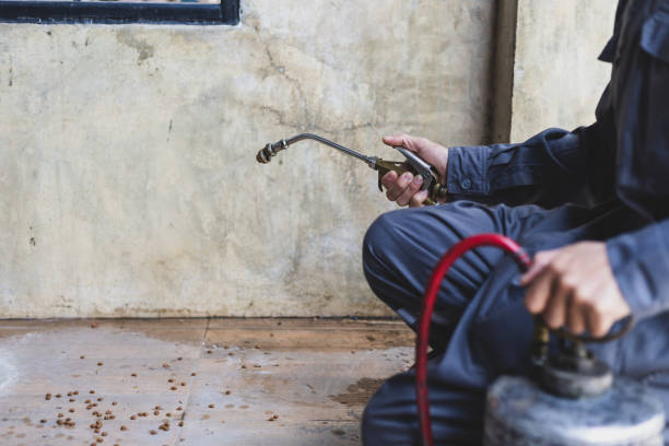 Best Flea Control Services  in Hamilton, MO