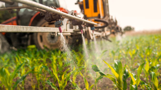 Best Pest Prevention Services  in Hamilton, MO